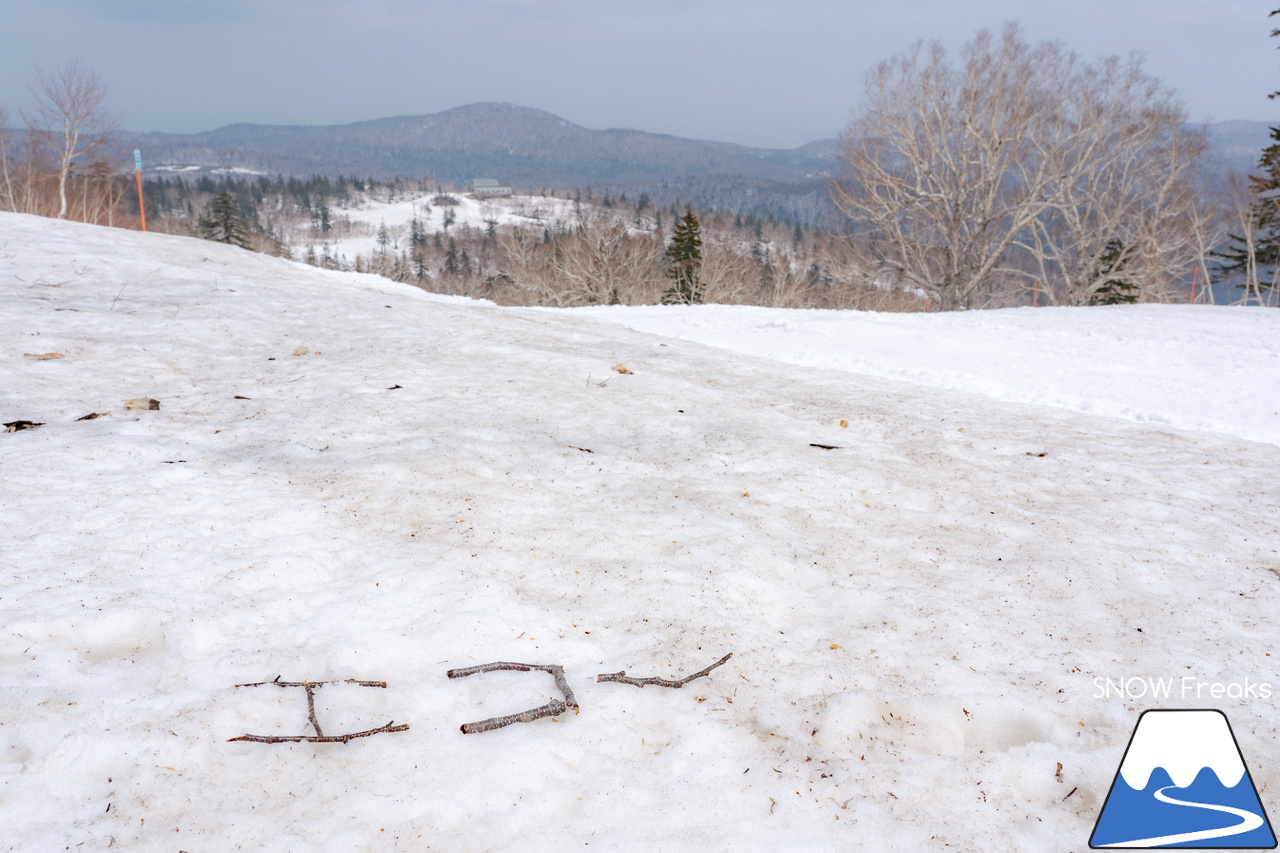 札幌国際スキー場｜2023・ゴールデンウィークがスタート！心配された雪ですが…。大丈夫、ちゃんと残ってくれました(^_-)-☆